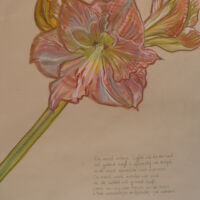 De meest intense liefde die de mensheid ooit gekend heeft is afkomstig van religie, en de meest demonische haat evenzeer.
De meest edele woorden van vrede die de wereld ooit gehoord heeft, komen van religieuze mensen en de meest bittere veroordelingen en beschuldigingen eveneens.
Niets maakt ons ze wreed als religie en niets maakt ons zo zachtmoedig.
The most intense love humanity has ever known comes from religion, and so does the most demonic hatred.
The most noble words of peace the world has ever heard come from religious people, and the most bitter condemnations and accusations as well.
Nothing makes us as cruel as religion, and nothing makes us so gentle.